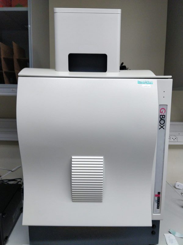 Syngene G:BOX Chemi XT16 Imaging Box - ברטל פתרונות - ציוד ומכשור מעבדה